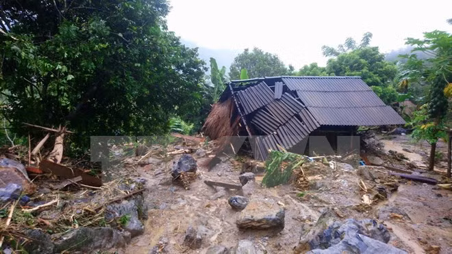 Provincia vietnamita destina fondo para recuperar producción agrícola tras inundaciones ảnh 1 Provincia vietnamita destina fondo para recuperar producción agrícola tras inundaciones ảnh 1