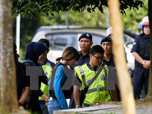 Vietnam continúa protegiendo derechos de ciudadana arrestada en Malasia ảnh 1