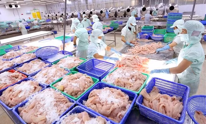 Exportaciones de mariscos de Vietnam en segundo trimestre pueden lograr récord de tres mil millones de dólares ảnh 1