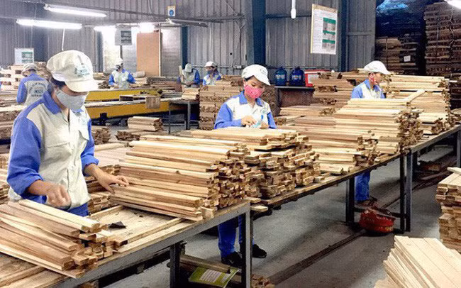 Exportaciones del sector maderero de Vietnam por lograr 20 mil millones de dólares para 2025 ảnh 2
