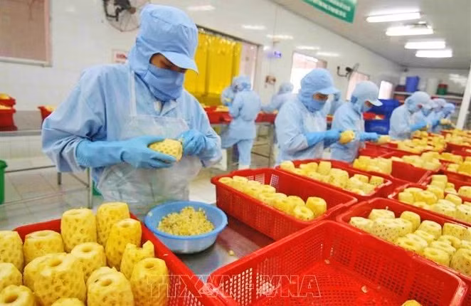 Vietnam por convertirse en uno de los 10 principales centros de procesamiento agrícola del mundo para 2030 ảnh 1