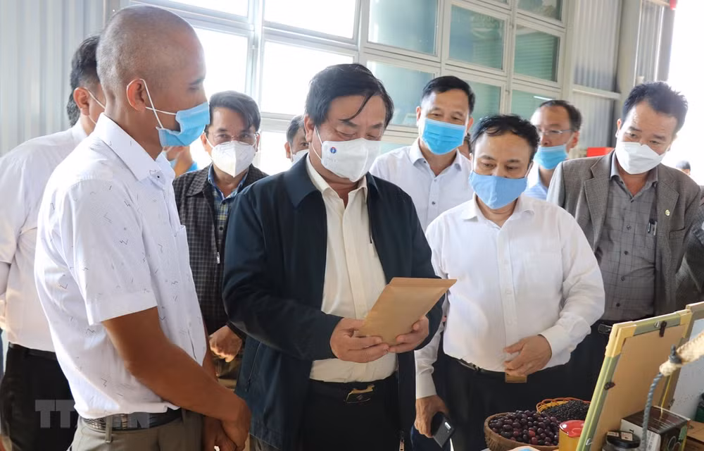 Formación de agricultores profesionales, una prioridad en Vietnam ảnh 1