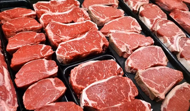 Demandas de carne y productos cárnicos importados en Vietnam podrían dispararse ảnh 1