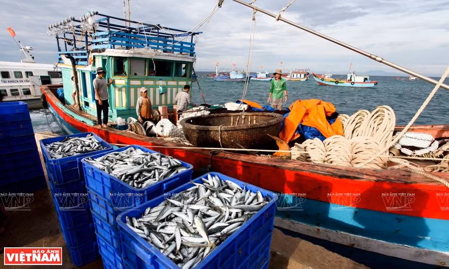 Empresas acuícolas de Vietnam por extenderse al mercado mundial ảnh 2