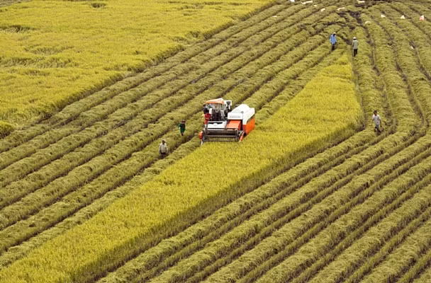 Vietnam aprueba plan maestro para el Delta del Mekong en el periodo 2021-2030 ảnh 1