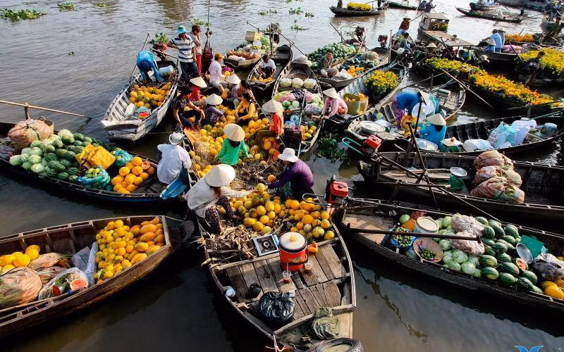 Desarrollo y prosperidad del Delta de Mekong mejoran calidad de vida ảnh 2