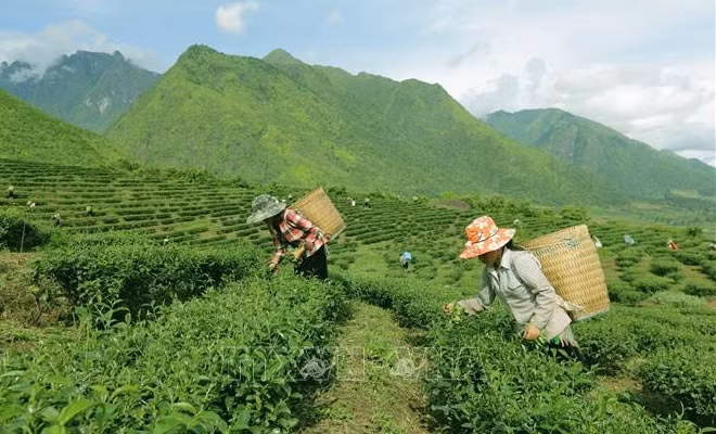 Vietnam se esfuerza por reducir la pobreza en zonas remotas ảnh 1