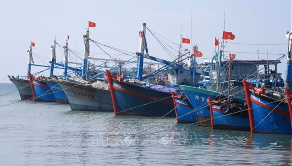 Comunidad pesquera vietnamita comprometida con combatir la pesca ilegal ảnh 1