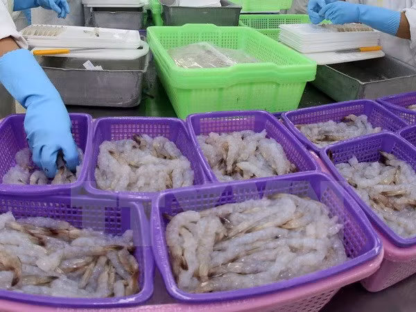 Exportaciones de camarón de Vietnam a UE crecen 7,5 por ciento ảnh 1