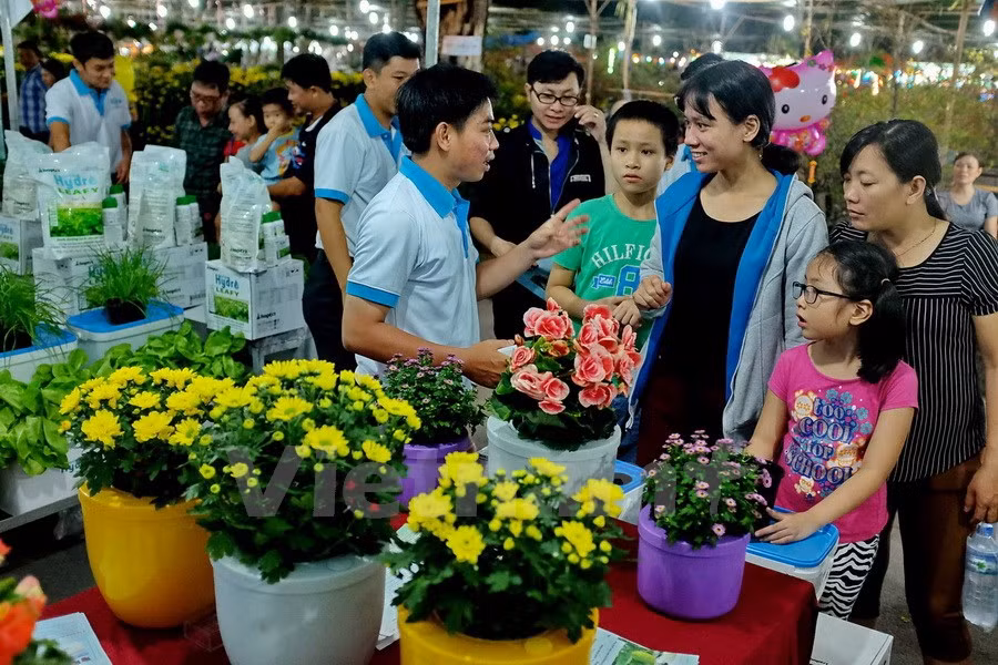 Abren en Ciudad Ho Chi Minh Festival de las Flores ảnh 1