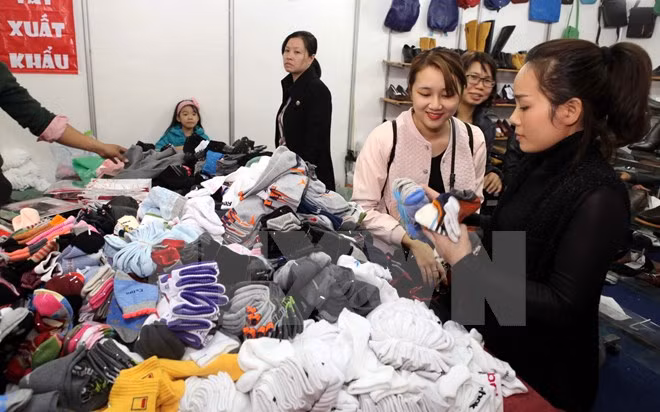 Hanosimex planea alcanzar un ingreso de 136 millones de dólares en 2017 ảnh 1