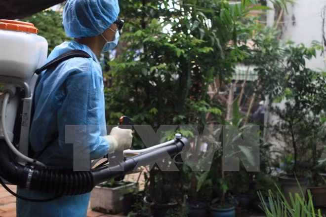 Provincia survietnamita anuncia epidemia de Zika ảnh 1