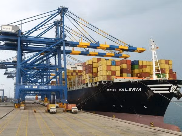 Mercancías vietnamitas penetran con buen modo al mercado indio ảnh 1