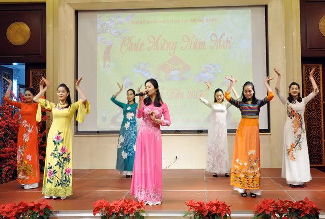 Vietnamitas en el extranjero saludan Año Nuevo Lunar 2017 ảnh 1