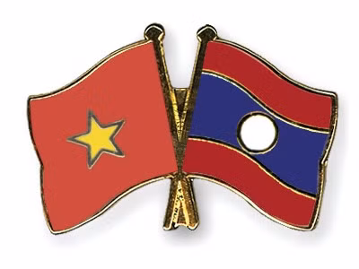 Asociación de Amistad Vietnam-Laos aspira a fomentar relación binacional ảnh 1
