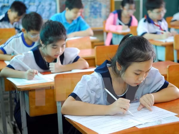 Convocan concurso internacional de matemática Kangaroo en Vietnam ảnh 1 Convocan concurso internacional de matemática Kangaroo en Vietnam ảnh 1