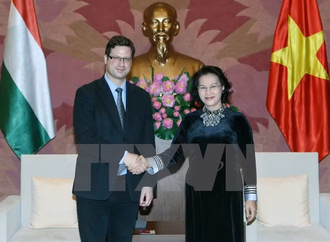 Vietnam sugiere mayor intercambio de delegaciones parlamentarias con Hungría ảnh 1