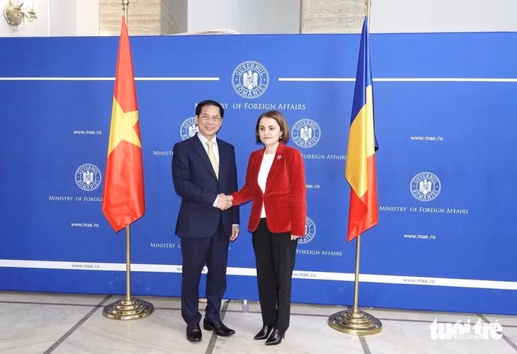 Promueven cooperación diplomática entre Vietnam, Hungría y Rumania ảnh 1