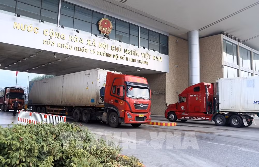 Más de 255 toneladas de durián exportadas a través de las puertas fronterizas de Lao Cai ảnh 1