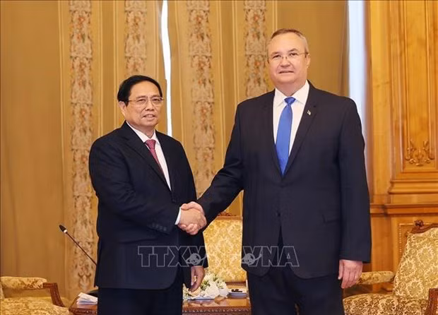 Premier vietnamita se reúne con presidente del Senado de Rumania ảnh 1