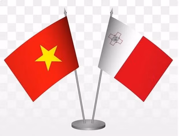 Similitudes e intereses comunes promueven relaciones Malta-Vietnam ảnh 1