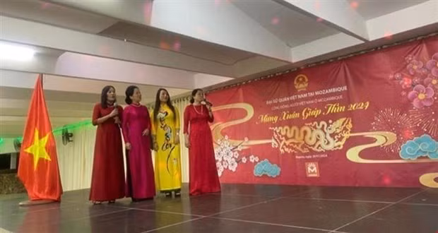 Vietnamitas en Ultramar celebran Fiesta del Nuevo Año Lunar ảnh 1