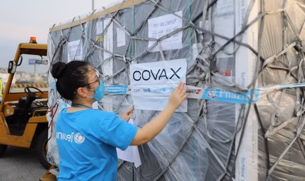 Reitera UNICEF apoyo a Vietnam en protección infantil ante COVID-19 ảnh 2