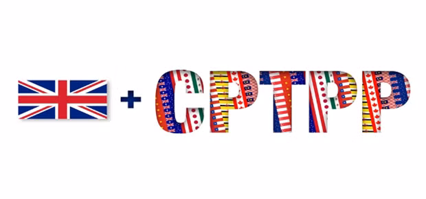  Vietnam dispuesto a compartir informaciones y experiencias sobre CPTPP con Reino Unido ảnh 1