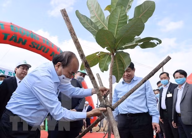 Primer ministro llama a construir un Vietnam verde ảnh 3