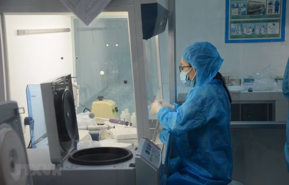Reporta Vietnam 31 casos nuevos de COVID-19 ảnh 1 Reporta Vietnam 31 casos nuevos de COVID-19 ảnh 1
