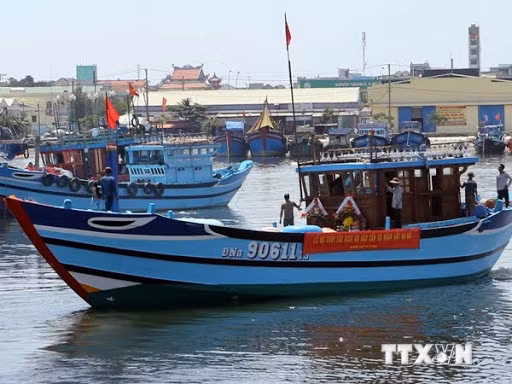 Provincia vietnamita de Bac Lieu por elevar conciencia sobre pesca ilegal ảnh 1