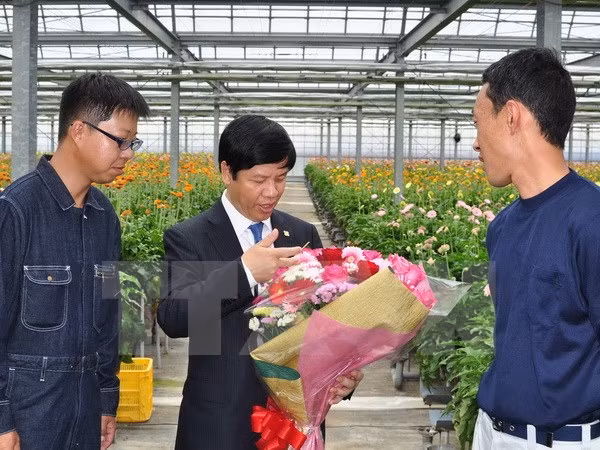 Impulsan cooperación económica Japón – Vietnam ảnh 1