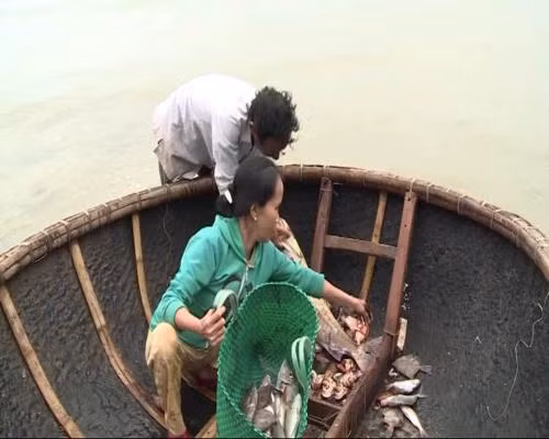 Respalda Thua Thien- Hue a pescadores en estabilización de vida ảnh 1