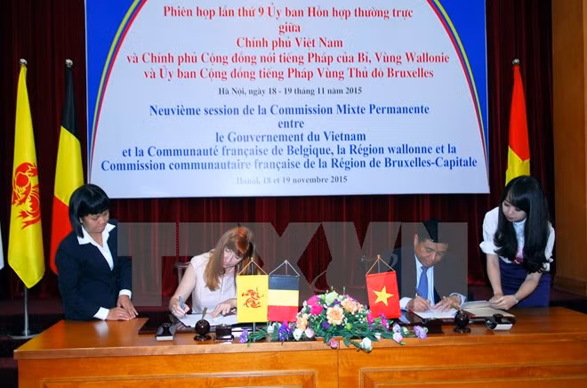 Asistencia belga a Vietnam para ejecución de proyectos importantes ảnh 1