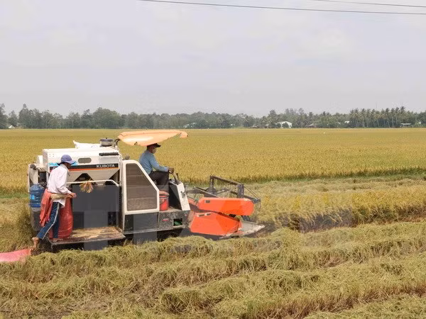 Venezuela oficializa acuerdos agrícolas con Vietnam ảnh 1