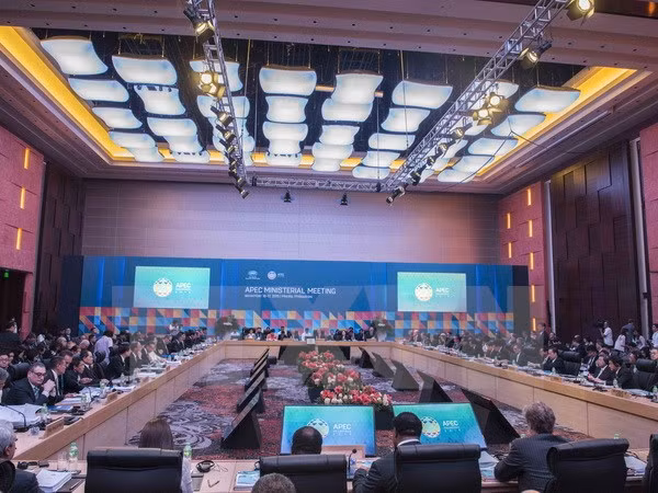 Vietnam llama a estrechar conexión entre las economías de APEC ảnh 1