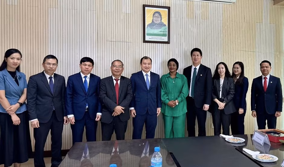 Vietnam busca agilizar lazos en información con Qatar, Egipto y Tanzania ảnh 3