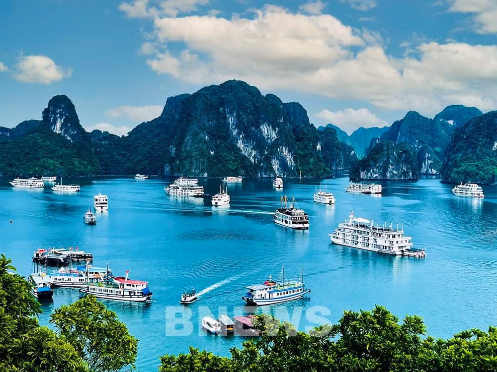 Región surcoreana de Chungcheong mejora cooperación turística con Ha Long ảnh 1