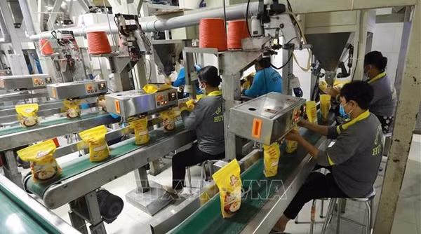 Mejoran eficiencia de promoción de productos agrícolas vietnamitas en África ảnh 1