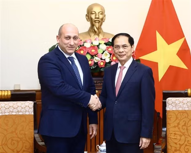 Vietnam y Georgia expresan deseo de desarrollar su cooperación multifacética ảnh 1