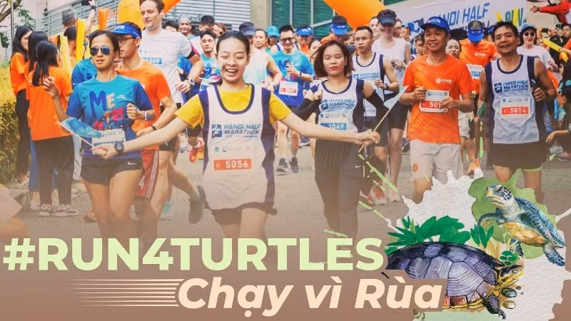 Celebrarán carrera a pie en diciembre para proteger a tortugas en peligro de extinción ảnh 1