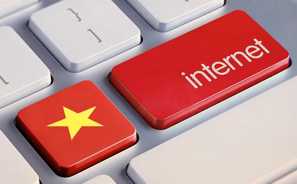 Internet brinda nuevas oportunidades a Vietnam ảnh 2
