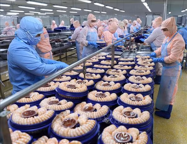 Vietnam cumplirá meta millonaria de exportación de productos acuícolas ảnh 1