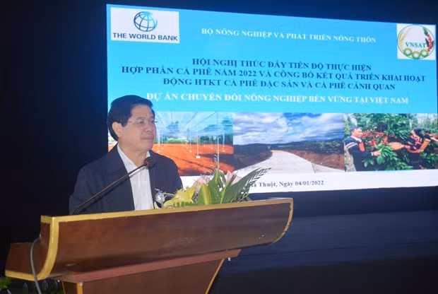 Altiplanicie Occidental de Vietnam adopta prácticas sostenibles en producción de café ảnh 1