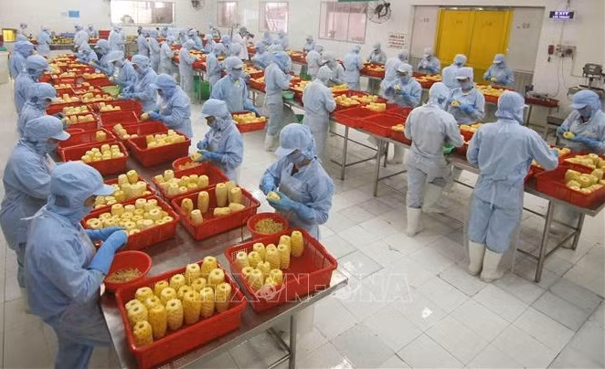 Productos vietnamitas buscan conquistar mercado euroasiático ảnh 2