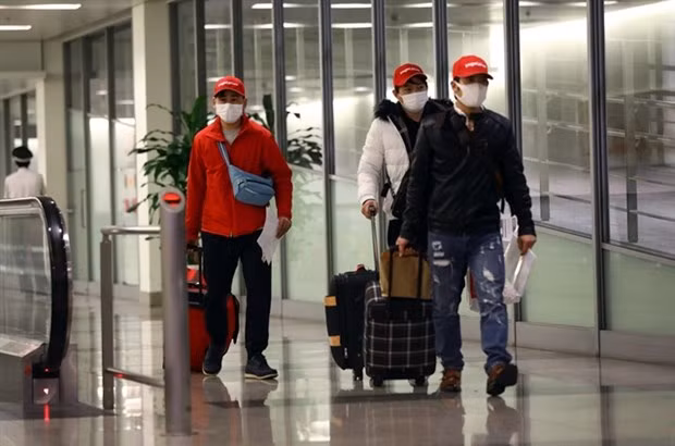 Emiten protocolos de entrada relajados para ciudadanos vietnamitas en extranjero ảnh 1