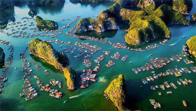Fotógrafo vietnamita conquista medalla dorada en concurso internacional ảnh 1