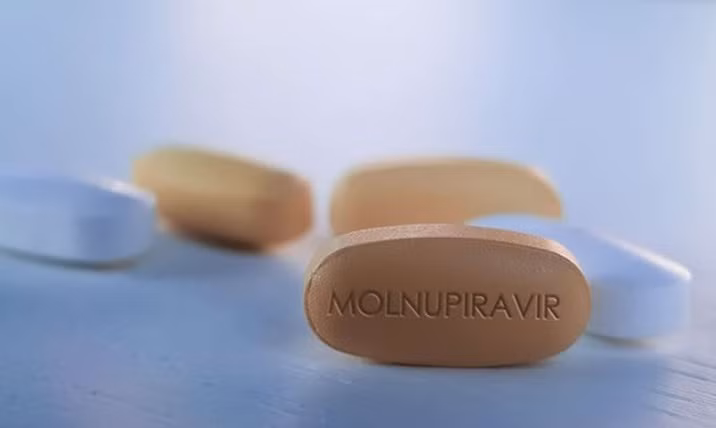 Proponen emitir en Vietnam registro de circulación para medicamento Molnupiravir contra el COVID-19 ảnh 1