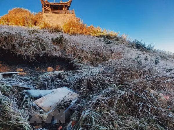 Escarcha cubre montaña vietnamita de Fansipan ảnh 1