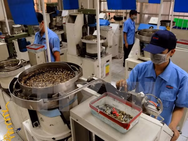 Fortalecen Vietnam, Oriente Media y África relaciones ảnh 1